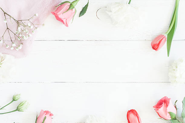 рамка с розовыми цветами и тюльпаном ом деревянный белый фон - bud flower tulip flowers стоковые фото и изображения