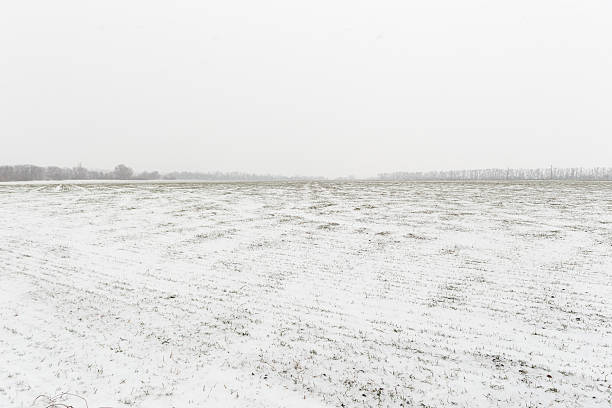 istock Winter landscape with snow covered countryside. 637348772
