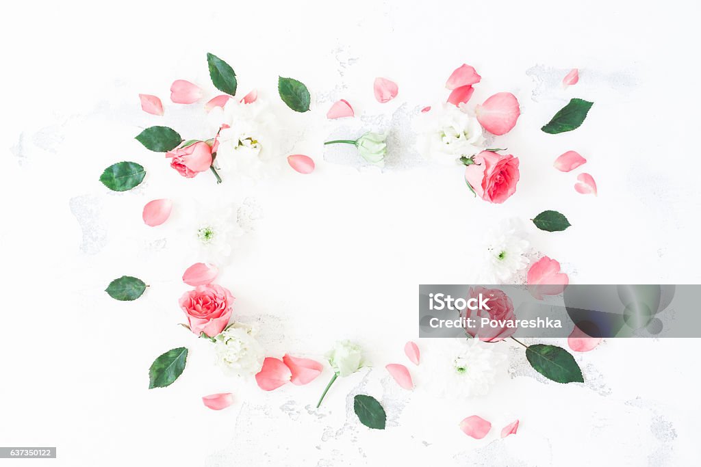 Frame made of rose flowers on white background. Flat lay Frame made of rose flowers on white background. Flat lay, top view Rose - Flower Stock Photo
