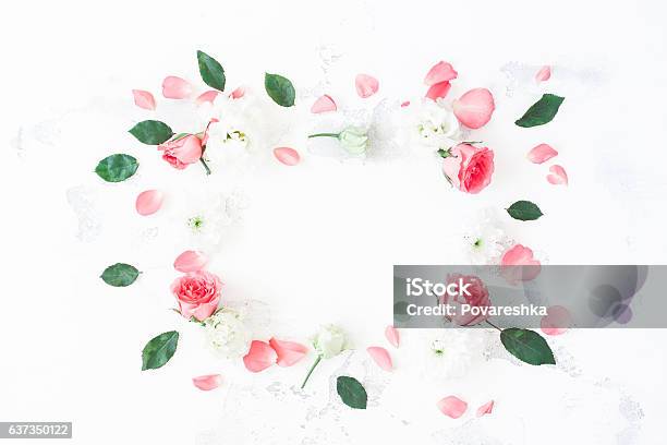 Frame Made Of Rose Flowers On White Background Flat Lay Stock Photo - Download Image Now