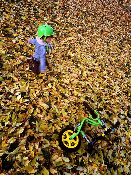 Little boy is enjoying autumn day during his bike ride // mobilestock photo made with iPhone 6s