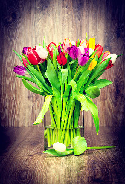 mistura de túlipas - bouquet tulip greeting card gerbera daisy imagens e fotografias de stock