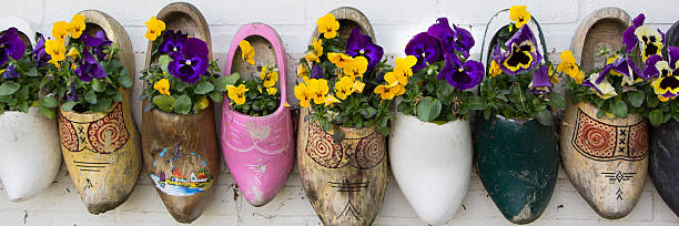 Dutch wooden clogs with flowers