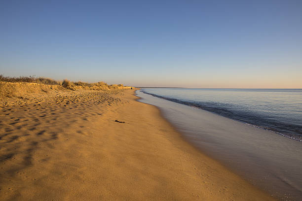 plage au coucher du soleil avec du sable doré et une mer tranquille - vendee photos et images de collection