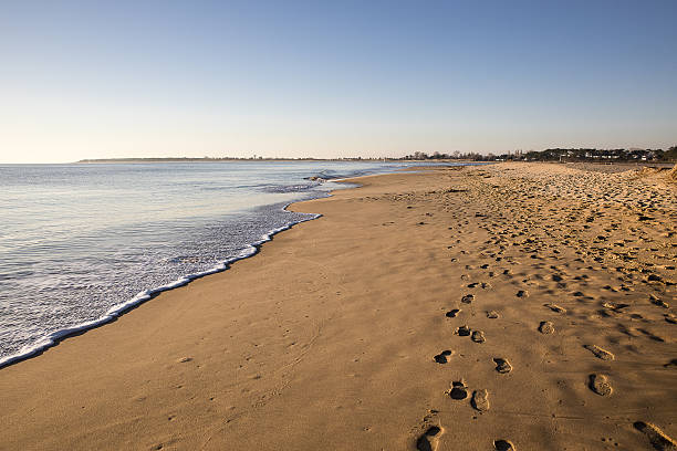 istock beach at sunset with golden sand and quiet sea 637360460