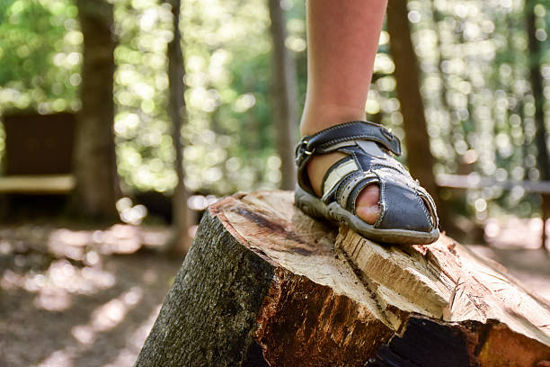 istock Kid foot stepped on a wooden stump 637366920