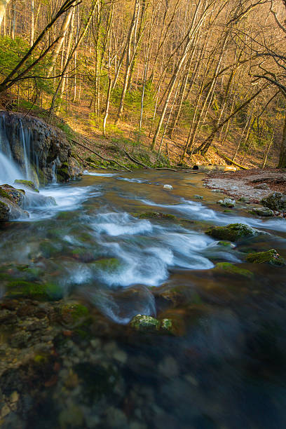 istock Pristine waterfalls deep in the woods, on a sunny day 637367612