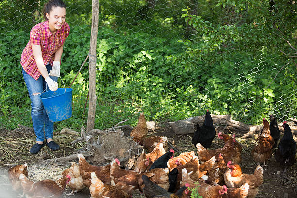 istock Young female farmer giving feeding 637368954