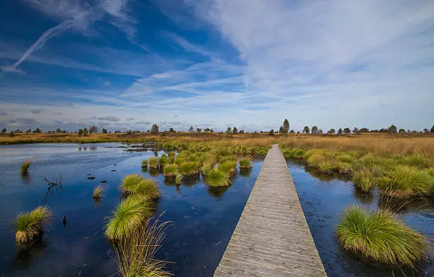 Photo of Beautiful Panorama of the recreation area High Fens in Belgium