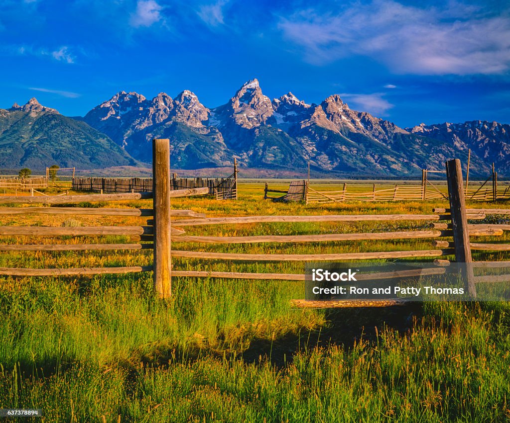 Spring morning with pole fencing in the Grand Tetons NP(P) A corral glows in the morning light in a meadow in the Grand Tetons National Park in Jackson, Wyoming. Beauty In Nature Stock Photo