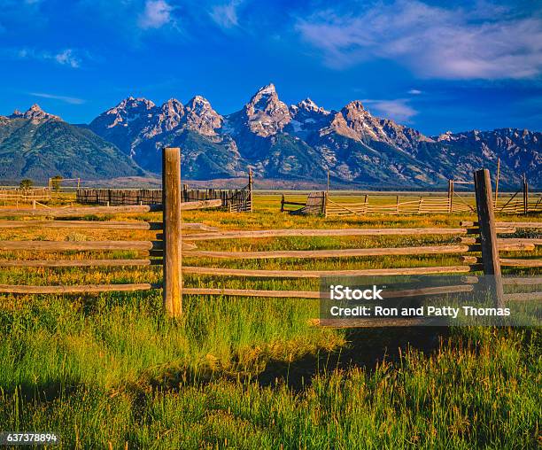 Spring Morning With Pole Fencing In The Grand Tetons Np Stock Photo - Download Image Now