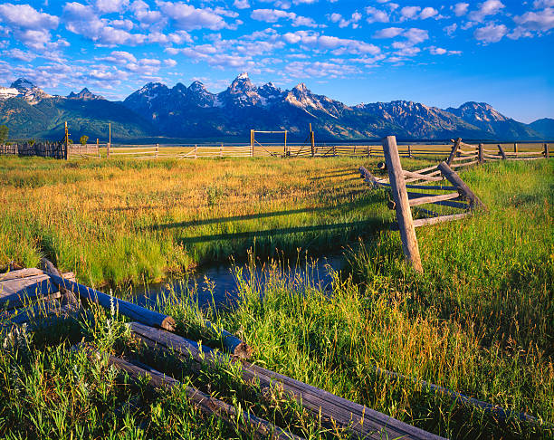 istock Spring meadow in Grand Tetons National Park,WY (P) 637378926