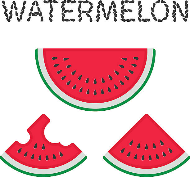 ilustraciones, imágenes clip art, dibujos animados e iconos de stock de ilustración vectorial de rodajas de sandía. - watermelon full length isolated circle