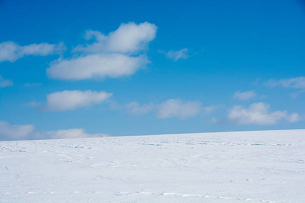 istock The snowy field and the blue sky 637383566