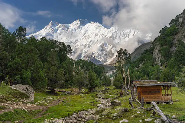 Photo of Nanga Parbat mountain in a morning at Bayel camp, Fairy