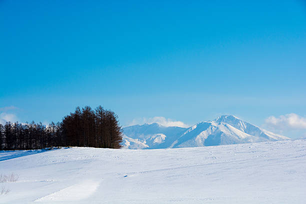 istock The snowy mountaintop and blue sky 637383812