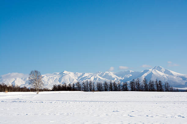 istock The snowy field and the blue sky 637384054