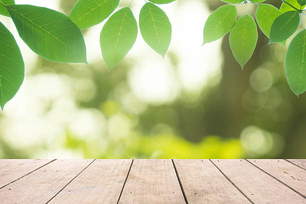 istock fresh leaf with wooden mock up on nature background 637384946