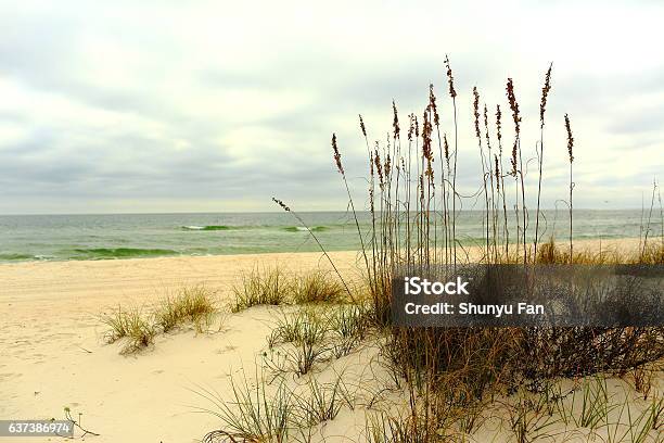 Gulf Islands National Seashore Stock Photo - Download Image Now - Alabama - US State, Mississippi, South