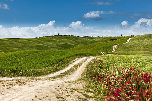 istock Country road on rolling hill in a rural landscape 637389772