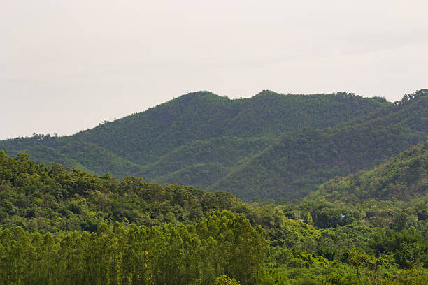 istock The mountain landscape in thailand. 637391814