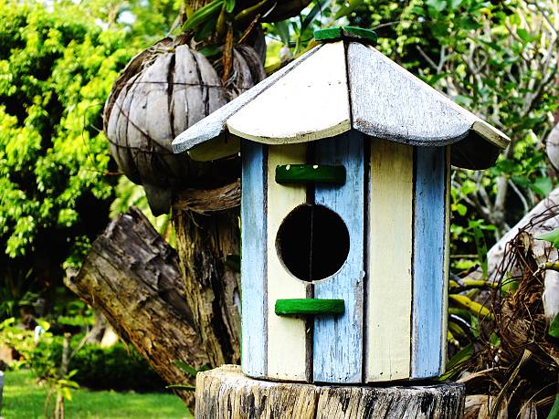 istock bird house with natural green leaves background 637392452