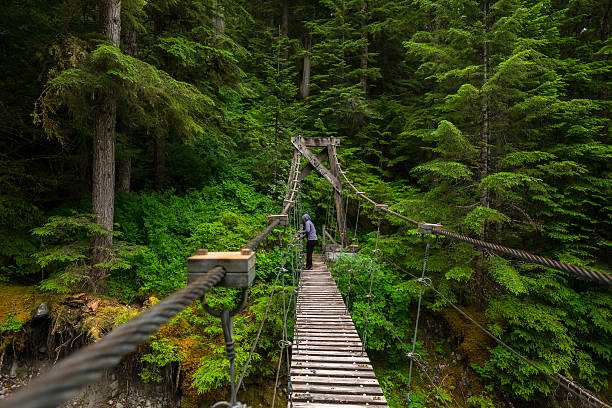 istock Suspension Bridge in a rainforest 637392584