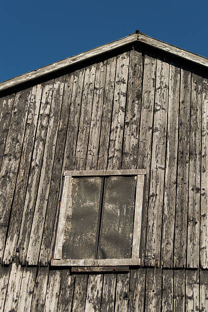 istock Closeup of old rustic black peeling barn with blue sky 637392928