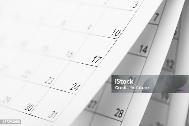 Daily Plans Stock Photo - Download Image Now - Calendar, Personal Organizer, Planning