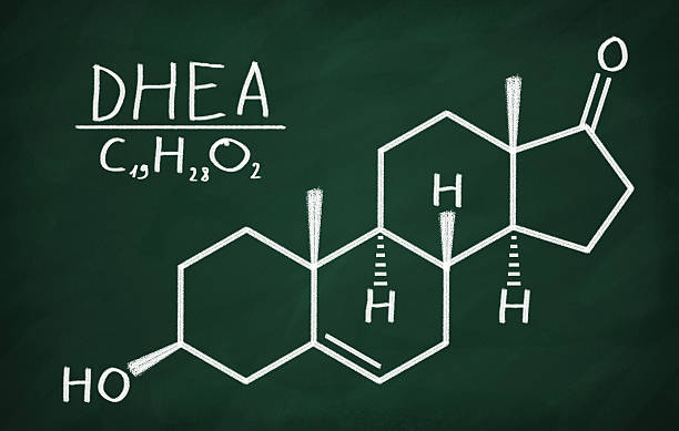 Structural model of DHEA vector art illustration