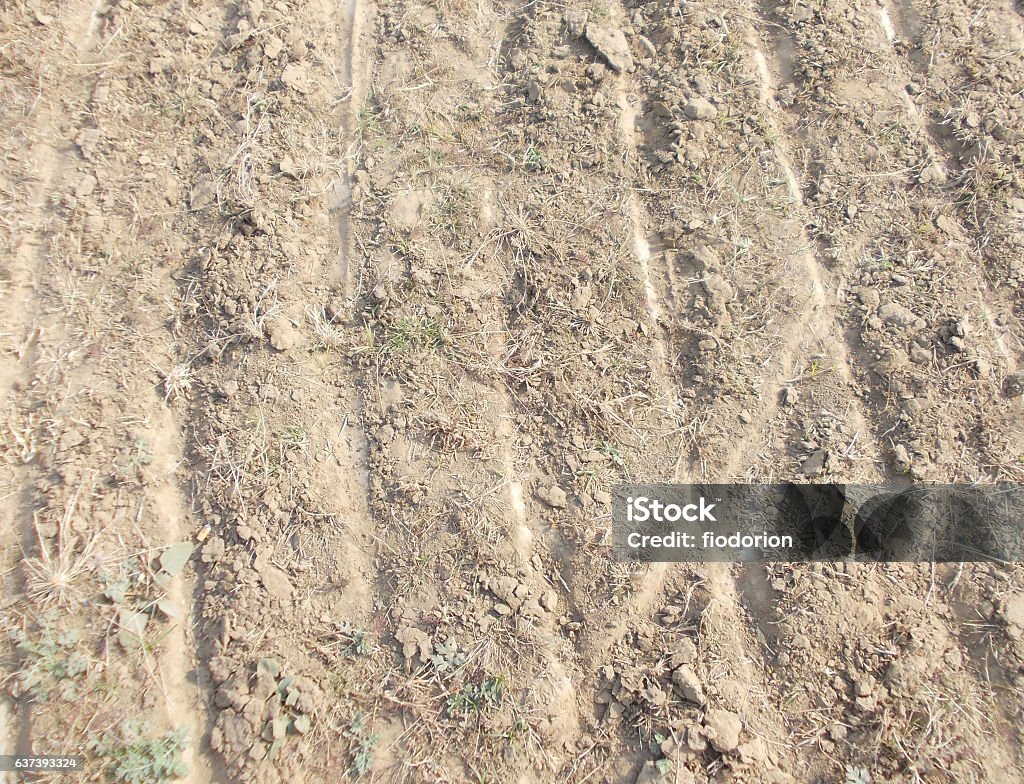 Soil Texture Background Stock Photo - Download Image Now - Abstract ...