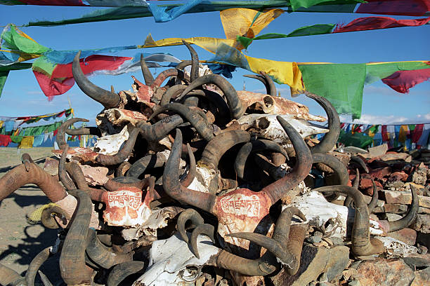 istock Prayer flags and yak horn in Tibet. 637393430