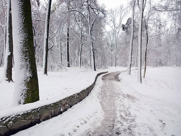 Photo with a mobile phone. Winter in the park.