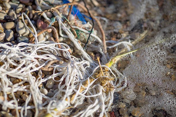 istock Environmental polluted seaside with plastic, on a pebble beach 637403674