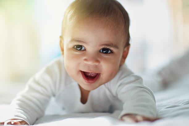 6,616 Brown Hair Baby Boy Stock Photos, Pictures & Royalty-Free Images - iStock 6,616 Brown Hair Baby Boy Stock Photos, Pictures & Royalty-Free Images - iStock