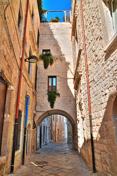 istock Alleyway. Molfetta. Puglia. Italy. 637408248