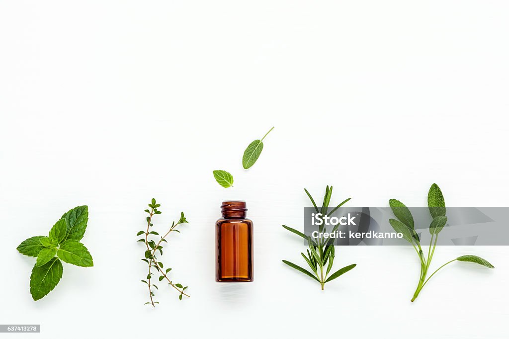 Bottle of essential oil with  fresh herbal sage, rosemary, Bottle of essential oil with  fresh herbal sage, rosemary, lemon thyme and peppermint setup with flat lay on white wooden table. Essential Oil Stock Photo