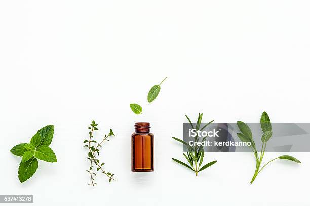 Bottle Of Essential Oil With Fresh Herbal Sage Rosemary Stock Photo - Download Image Now