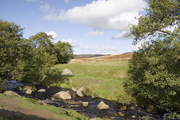 istock Burbage Brook, Longshaw Estate, Peak District, UK 637413450