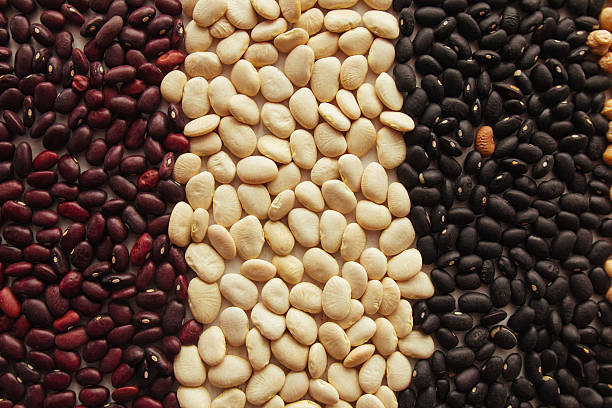 istock Red, lima and black beans top view 637413662