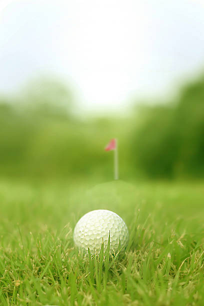 Golfer Golf Ball laying on green golf ball photos stock pictures, royalty-free photos & images