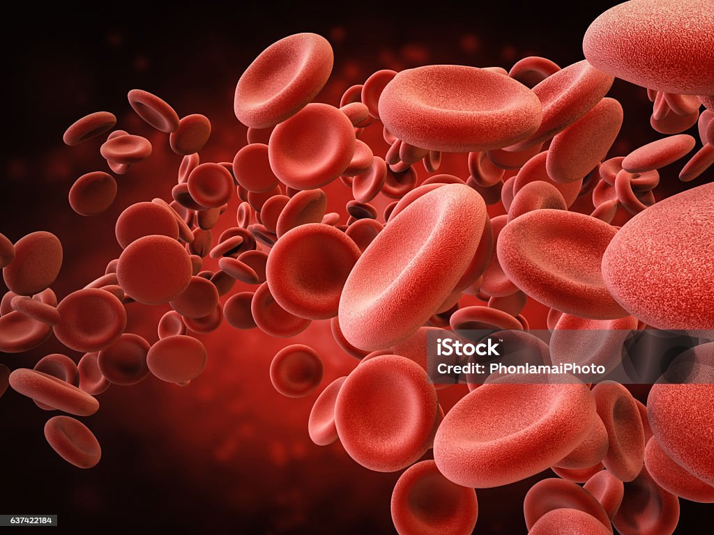 red blood cells in vein 3d rendering red blood cells in vein Blood Stock Photo