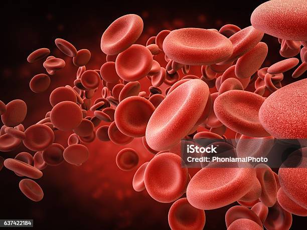 Red Blood Cells In Vein Stock Photo - Download Image Now - Blood, Blood Cell, Red Blood Cell