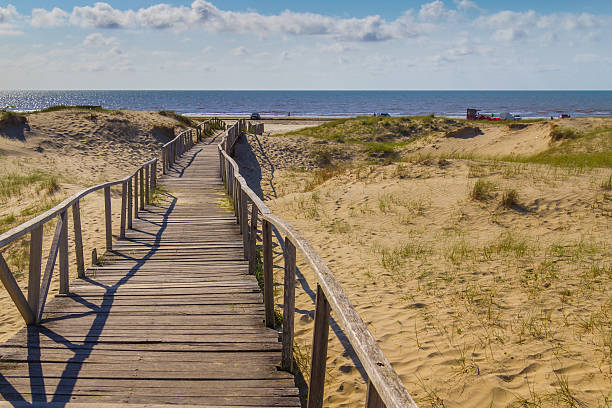 istock Wood bridge over dunes, vegetation and ocean in background 637423034