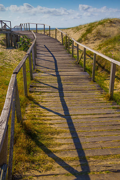 istock Wood bridge over dunes, vegetation and ocean in background 637423088