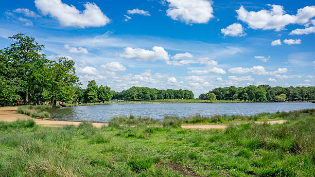 istock Richmond park on a sunny day 637429108