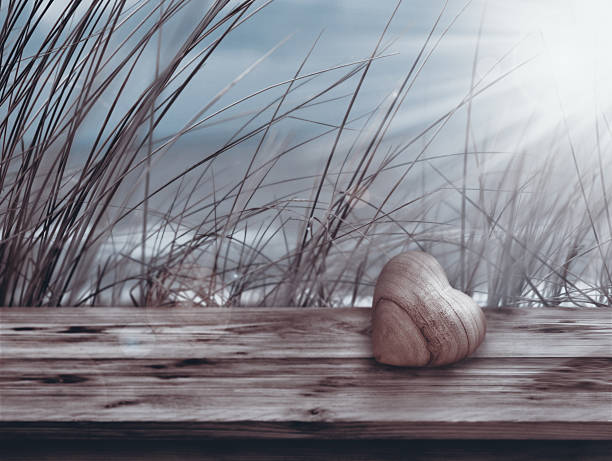 Still life at the sea on a wooden board in front of dune grass for mothers day and valentines day