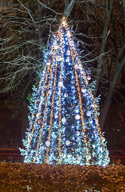 istock Colored lighted Christmas tree with blue ornaments, outdoor nigh 637430916