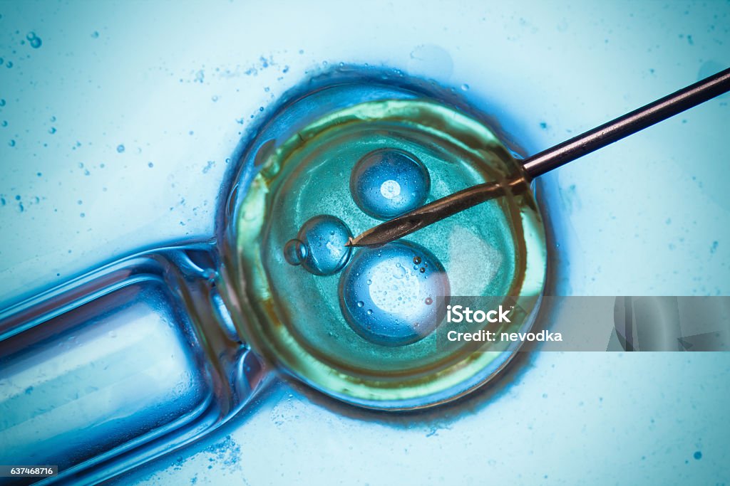 Laboratory microscopic research Laboratory microscopic research, virus, bacteria or cell vaccination macro concept Medical Clinic Stock Photo