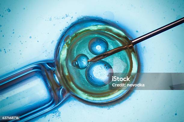 Laboratory Microscopic Research Stock Photo - Download Image Now - Medical Clinic, Bacterium, Beaker